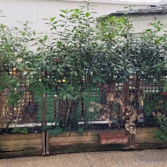  Annonces VILLEJUIF : Appartement | PARIS (75017) | 17 m2 | 150 000 &euro; 