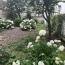  Annonces VILLEJUIF : Apartment | PARIS (75009) | 30 m2 | 425 000 &euro; 