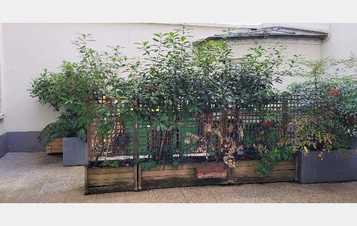 Annonces VILLEJUIF : Appartement | PARIS (75017) | 17 m2 | 150 000 &euro; 